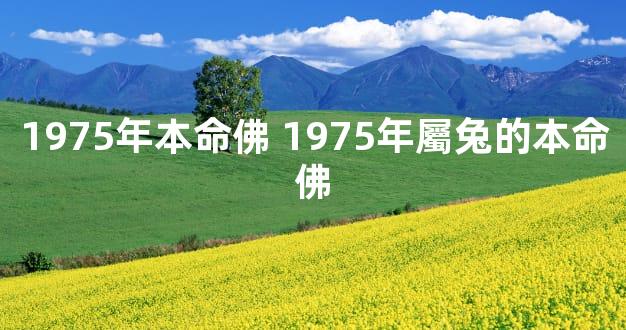 1975年本命佛 1975年屬兔的本命佛
